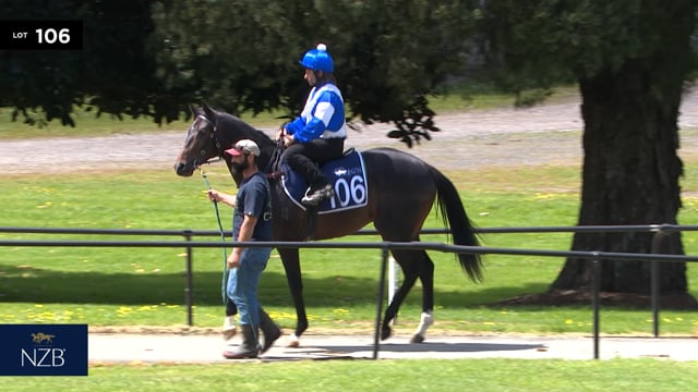 Lot 106