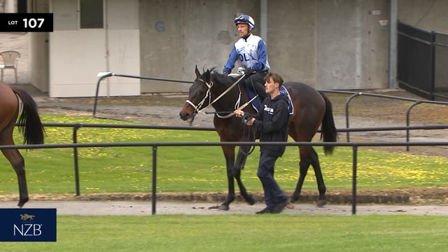 Lot 107