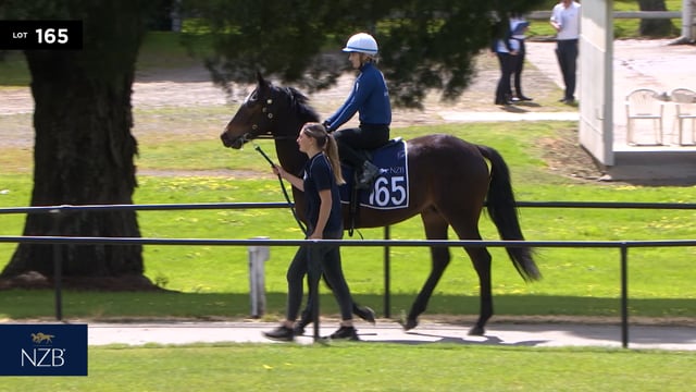 Lot 165