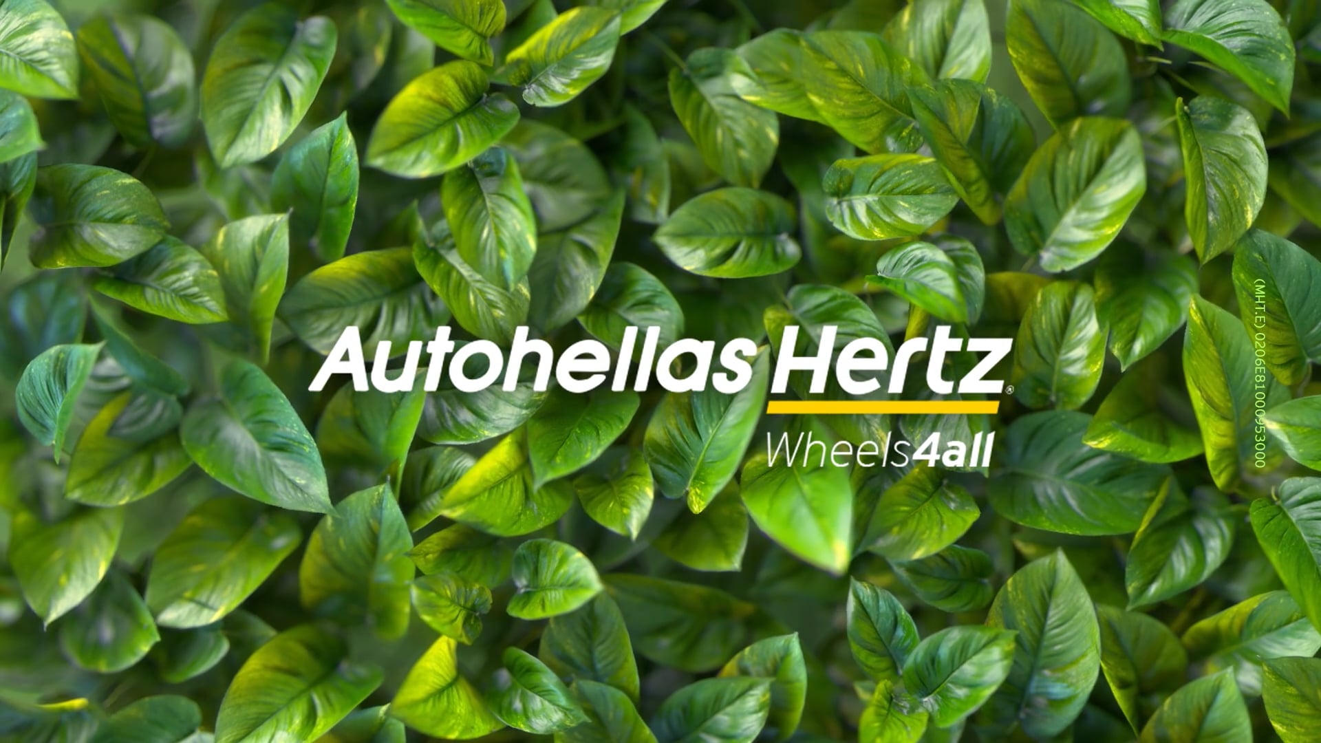 hertz leaves