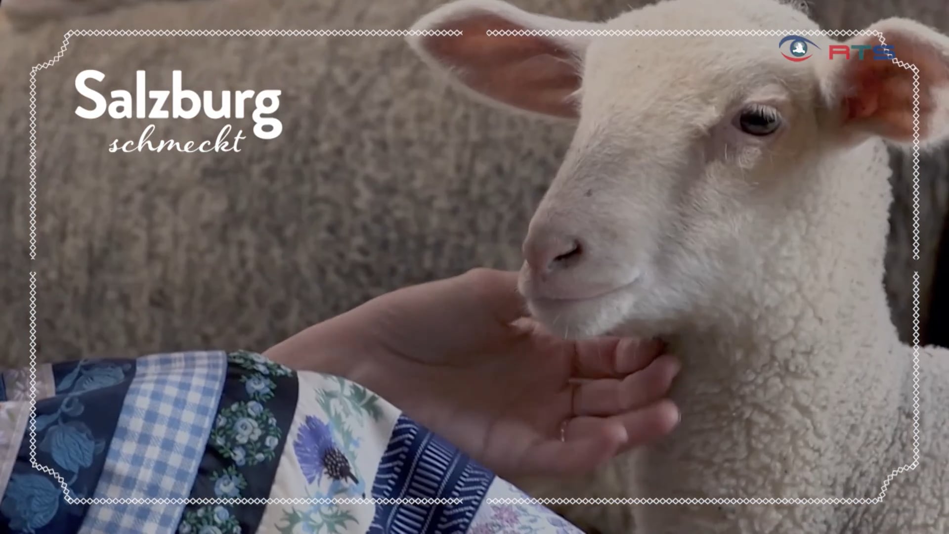begruessung-salzburg-schmeckt-21-10-2022