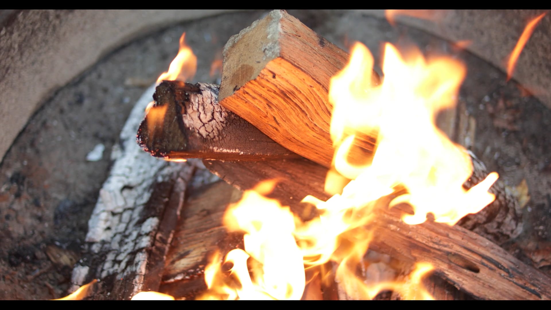Luxury Camping Resort | Nashville Tennessee | KOA