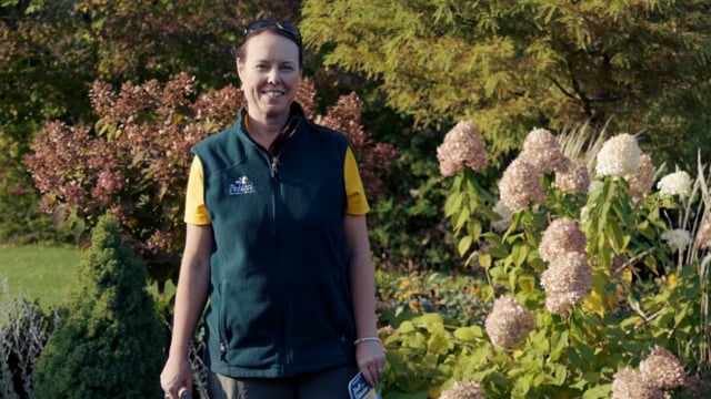 How to Plant Fall Bulbs for Spring Flowers
