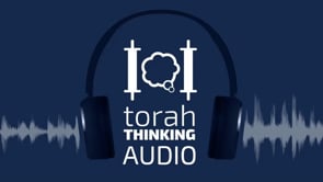 Excerpt from Weekly Hashkafa #112 of "What Brings the Mashiach"