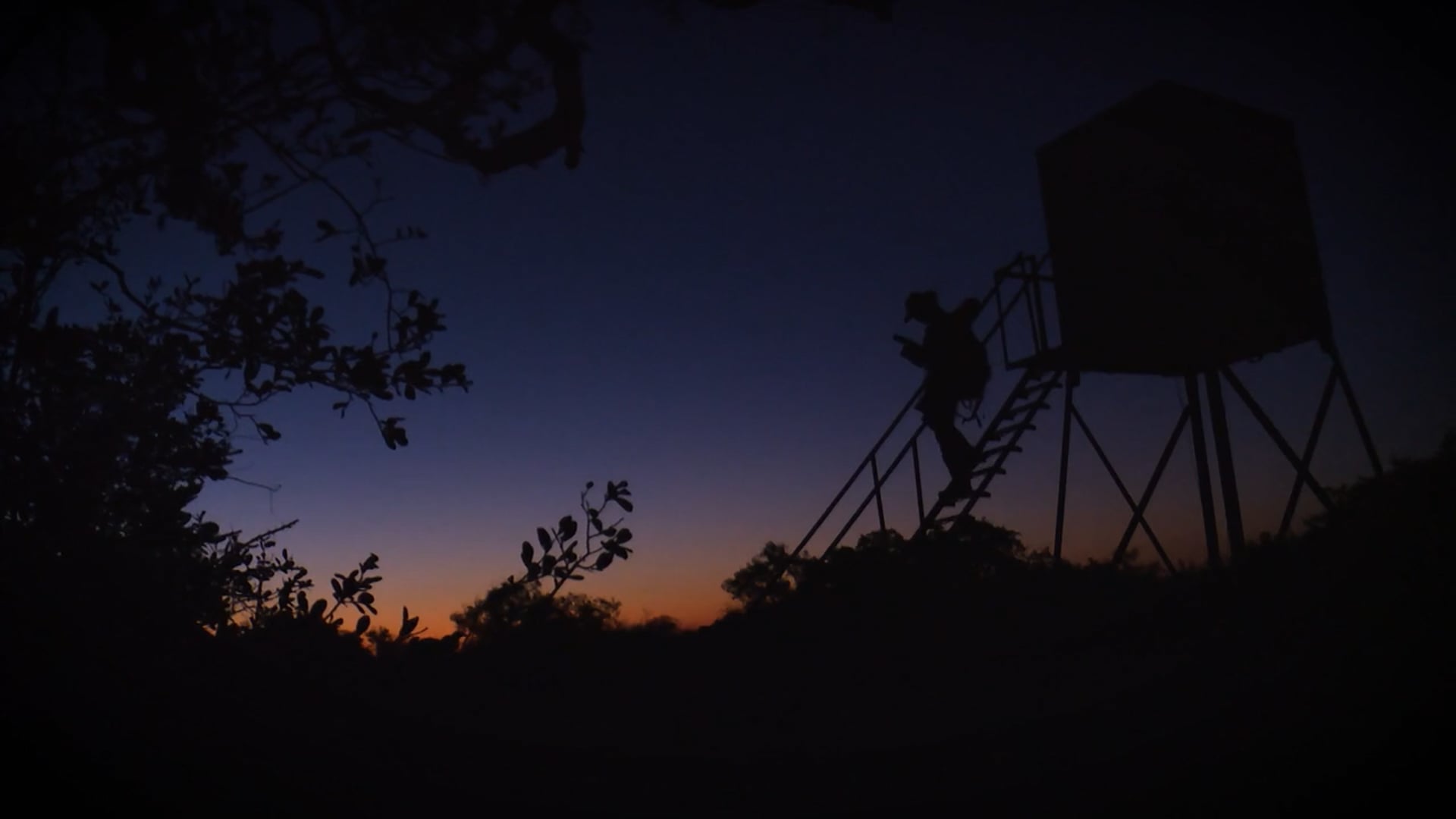 Just Junie Pilot Clip