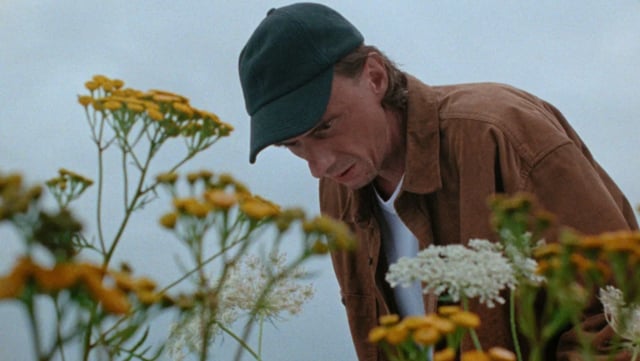 A Beautiful Wildflower Meadow - Trailer