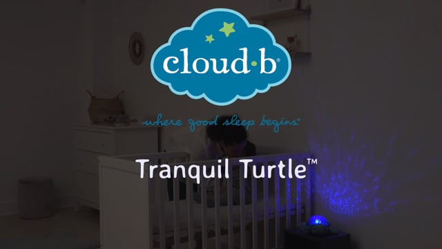 Tranquil Turtle Cloud B