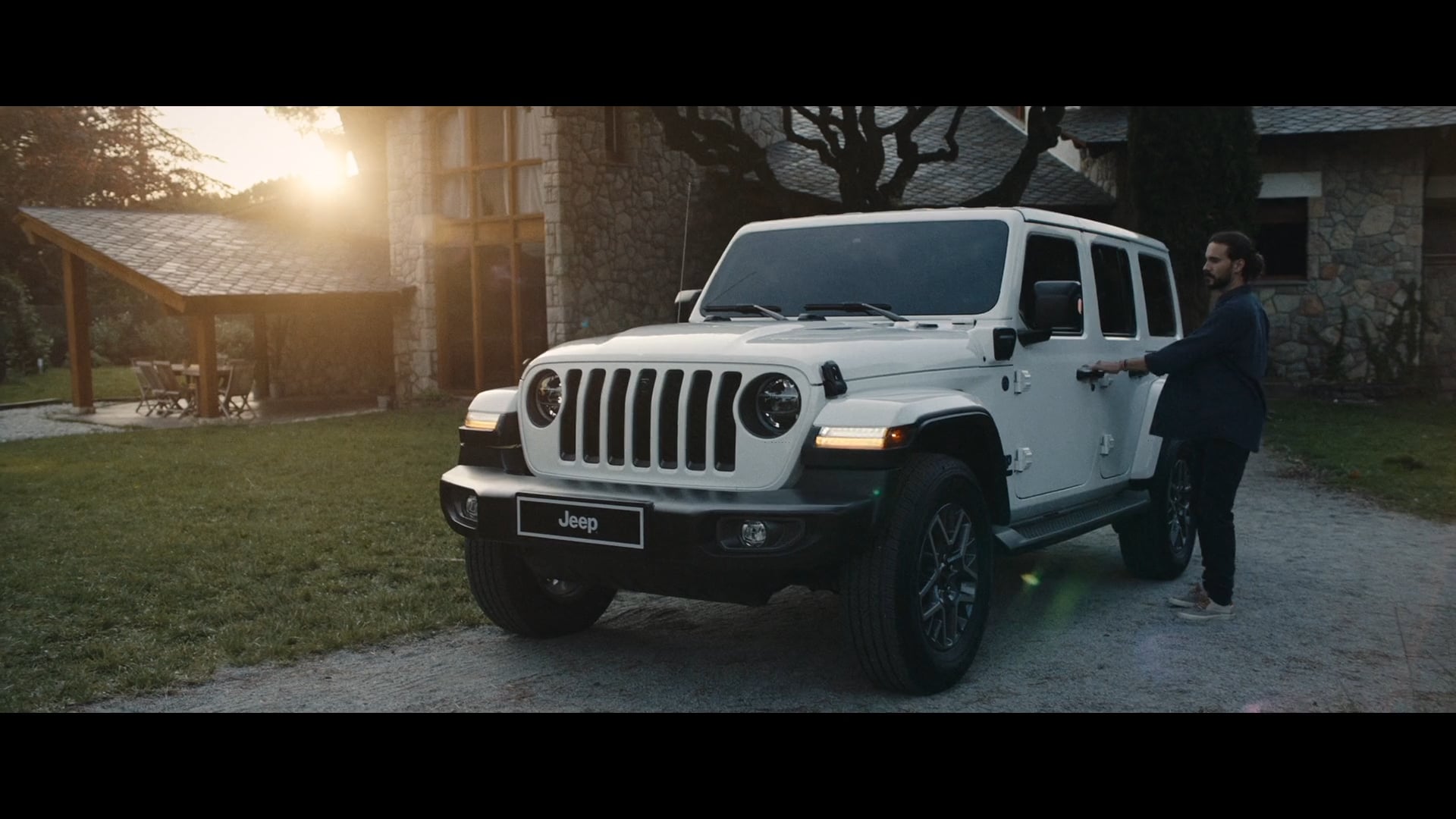 Jeep - Dogs daydreams