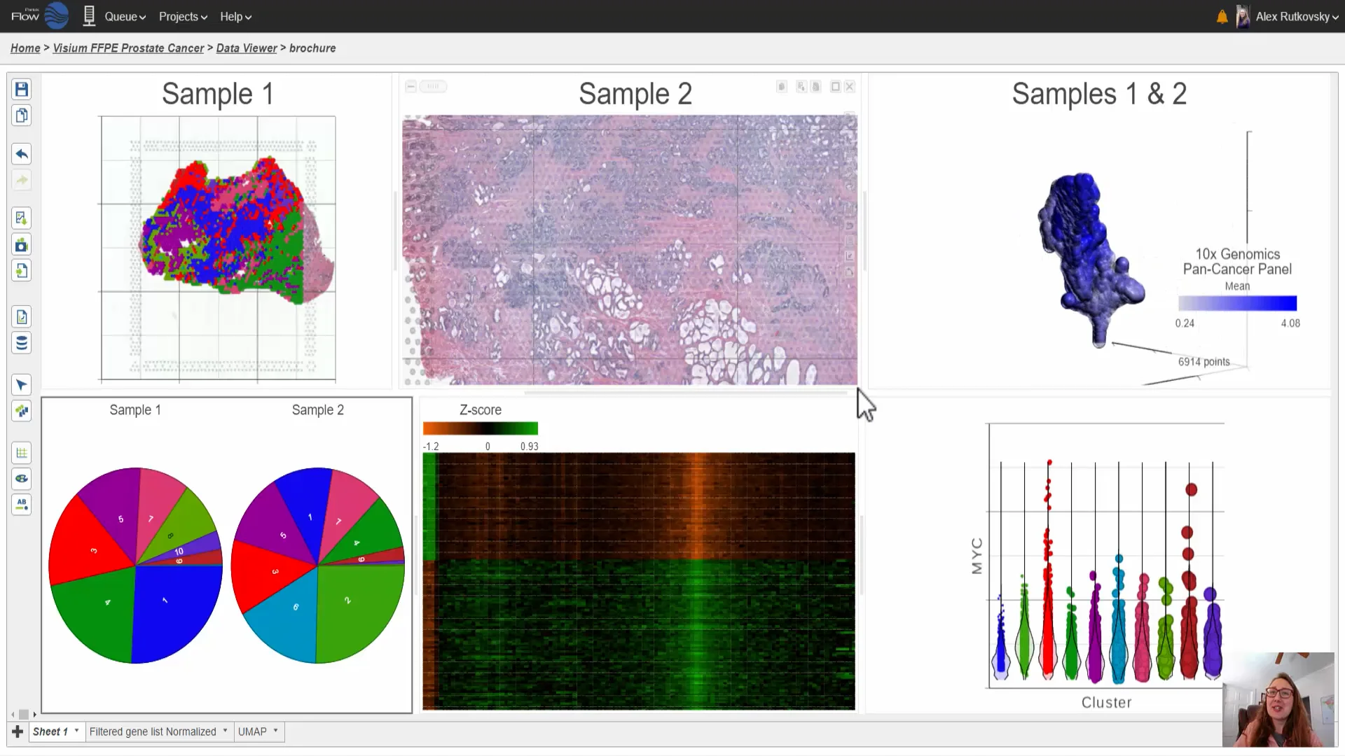 Partek Flow Overview on Vimeo