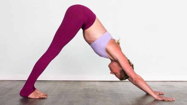 Downdog Is My Homeboy