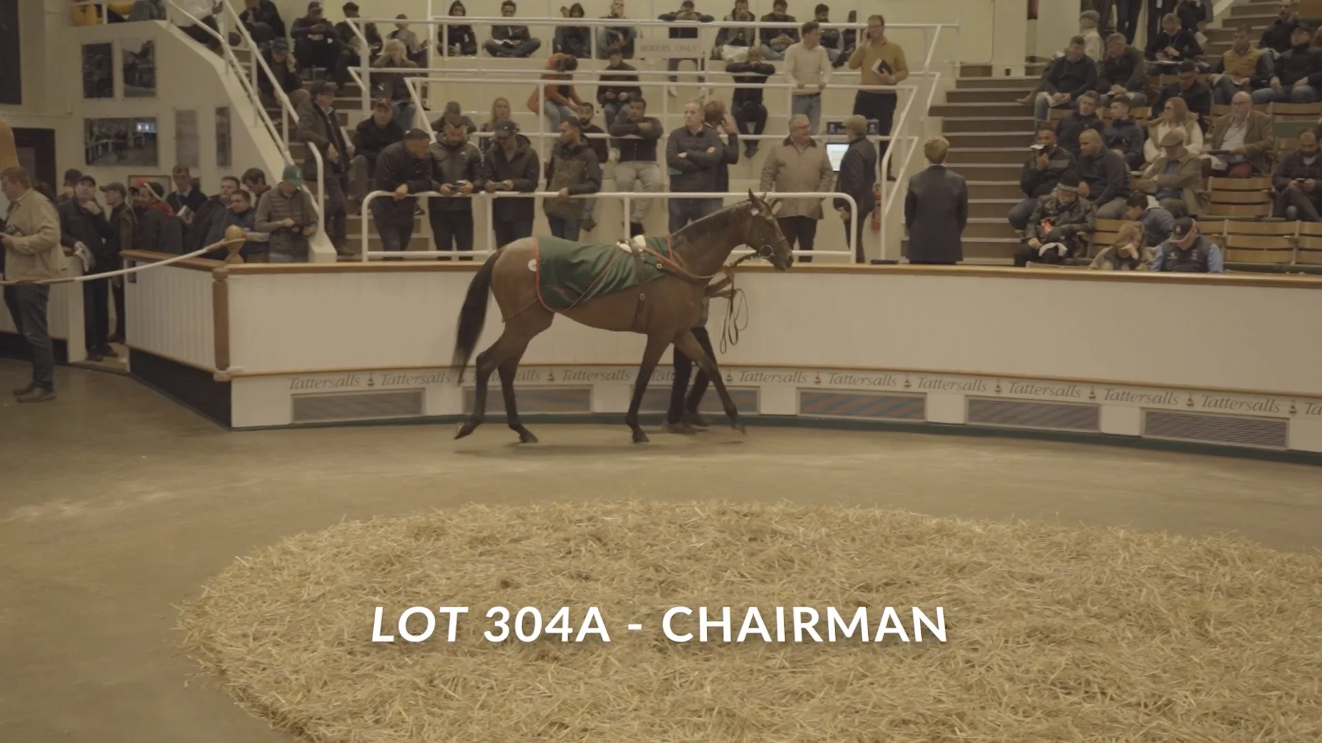 Lot 304A Chairman 2022 Tattersalls Horses in Training Sale on Vimeo