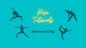 Downward Dog Tutorial