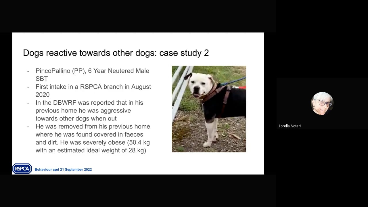 PART 2. Monthly Behaviour CPDBehaviour modification plan 2. Dog reactive towards other dogs (2022-09-21 14_58 GMT+1).mp4 - Bryony Francis