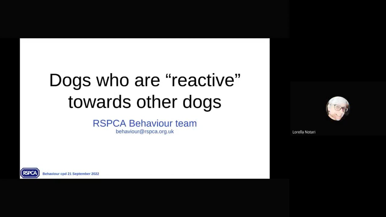 PART 1. Monthly Behaviour CPDBehaviour modification plan 2. Dog reactive towards other dogs.mp4 - Bryony Francis