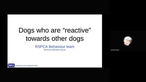 PART 1. Monthly Behaviour CPDBehaviour modification plan 2. Dog reactive towards other dogs.mp4