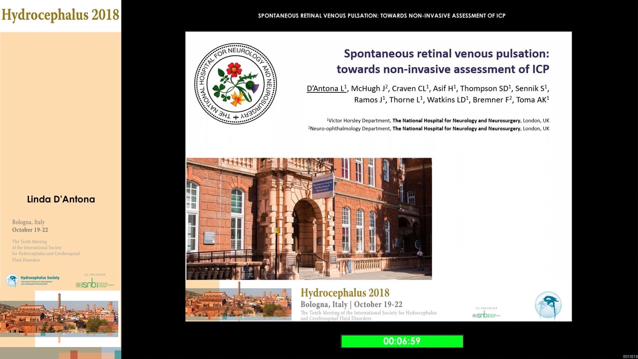 14 - Linda D’Antona