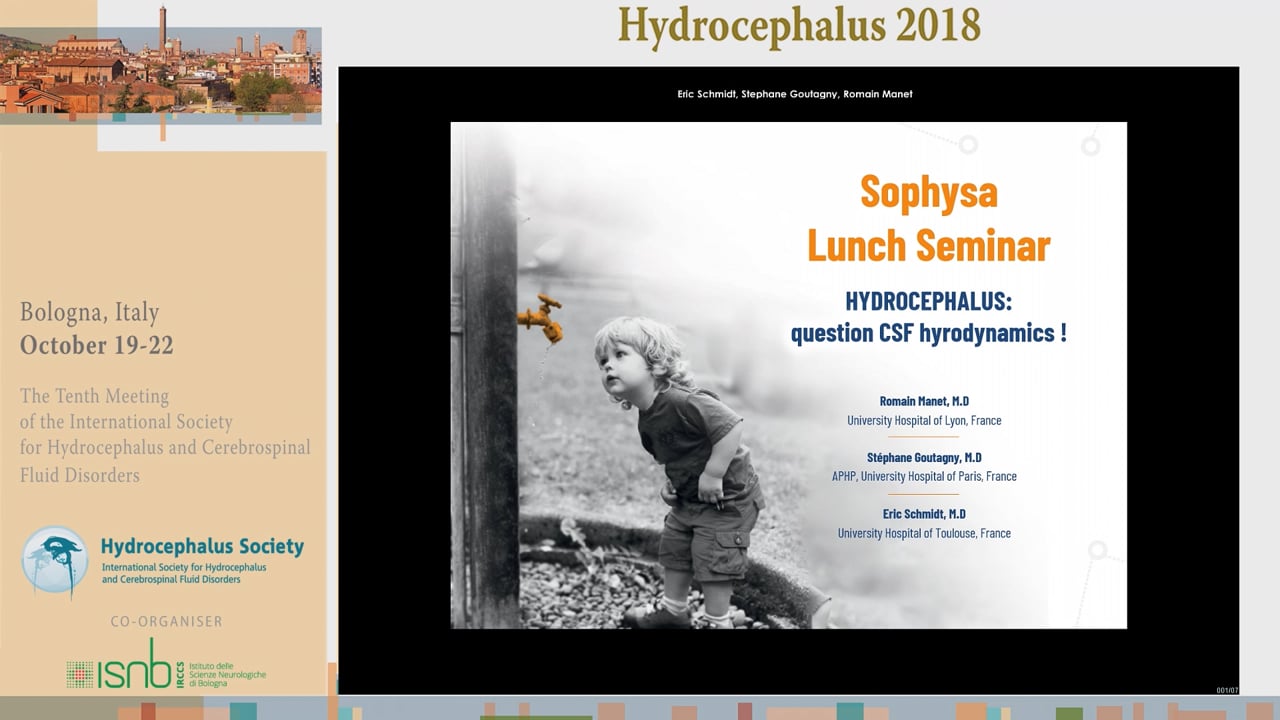 17 - Industry-sponsored Lunch Seminar (Salone del Podesta)-001