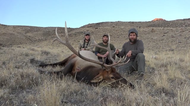 Spencer's Elk Hunt in Idaho
