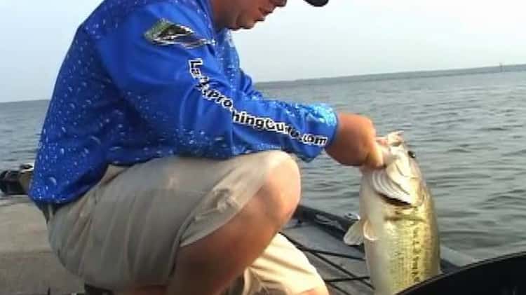 Ronnie Kelley Bass Fishing at it best on Beautiful Lake Fork in TX. on Vimeo