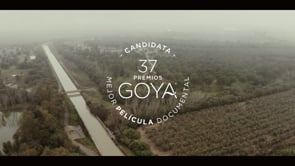 Ver el vídeo
