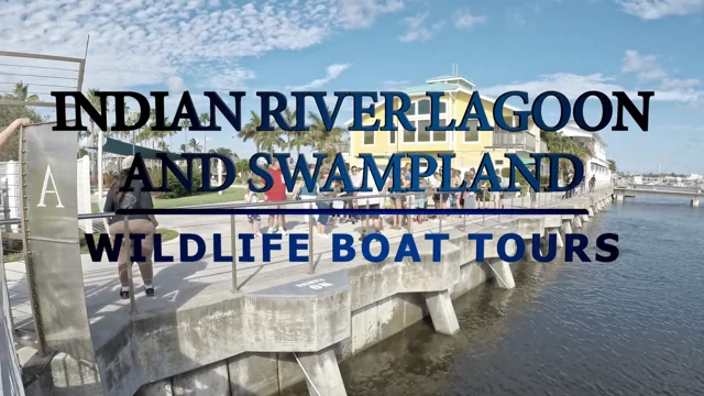 Indian River Lagoon Boat Tours - Dolphin Family Tours