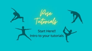 Intro to Pose Tips and Tutorials Section