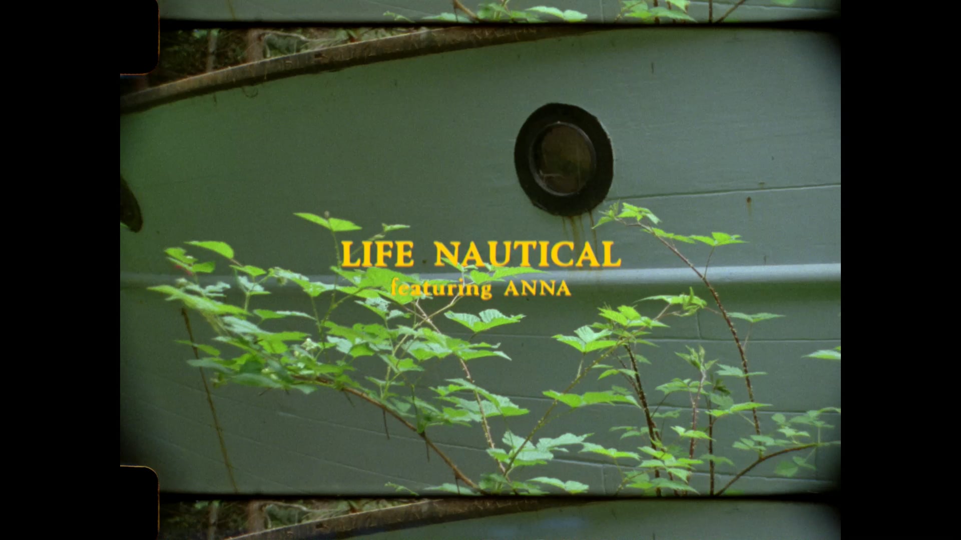Life Nautical