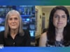 Lily Jamali - Democracy Now!