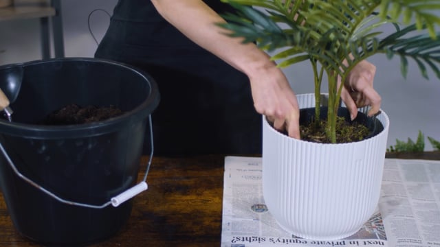 How to Pot an Artificial Plant