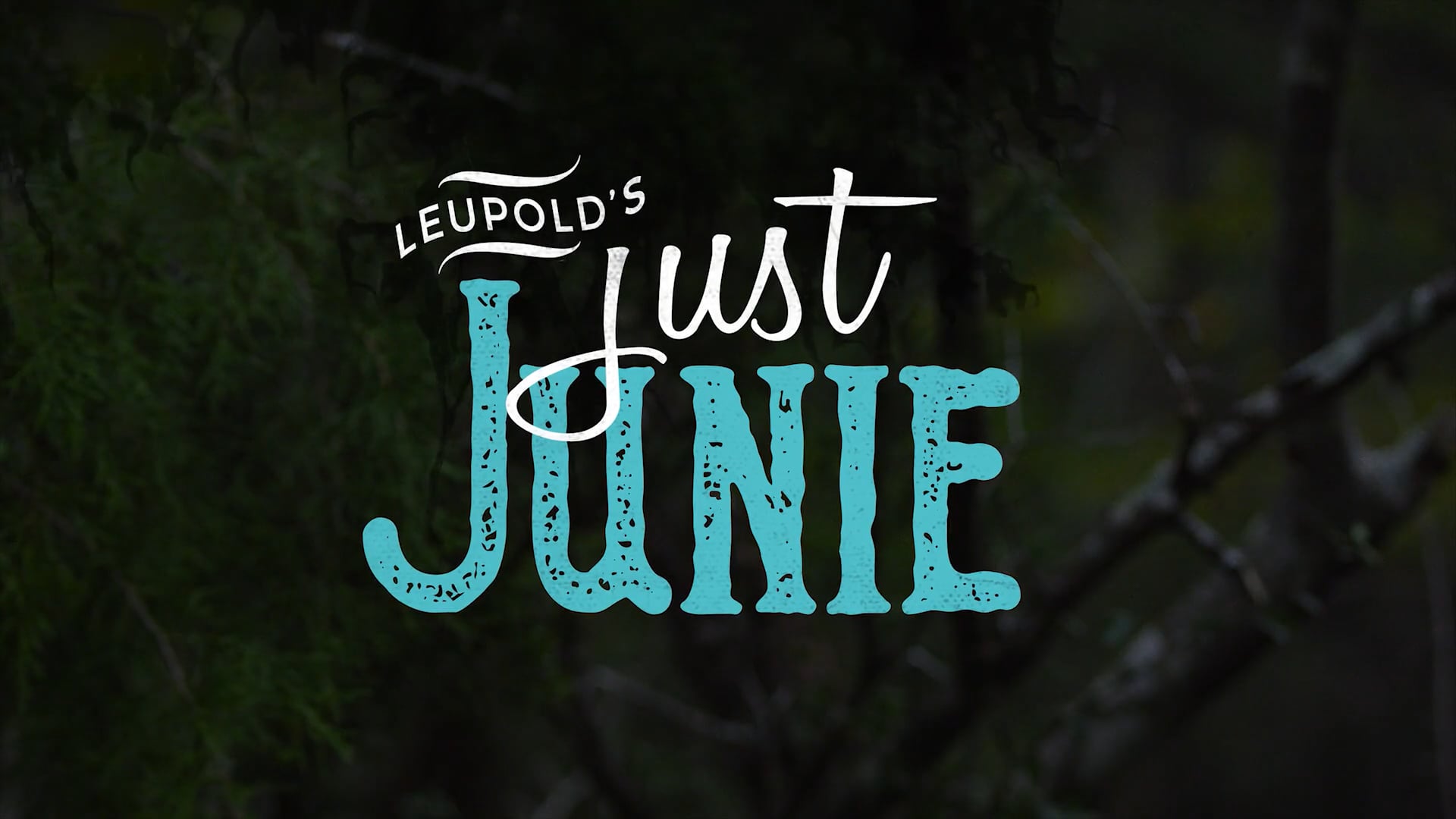 Just Junie S2 Promo