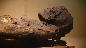 THE MUMMIE’S CASE