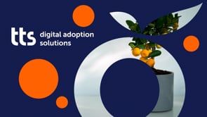 tts performance suite