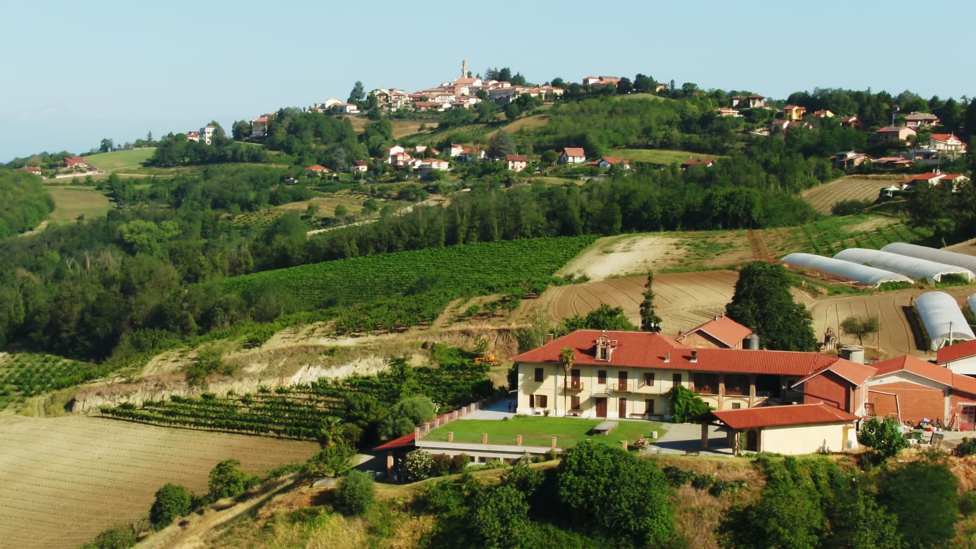 Albugnano 549, Vendemmia 2022, Cascina Gilli