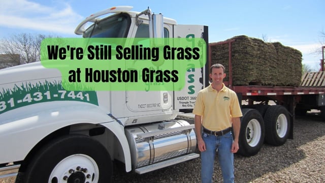 We're Still Selling Grass - Houston Grass - Pearland Sugar Land