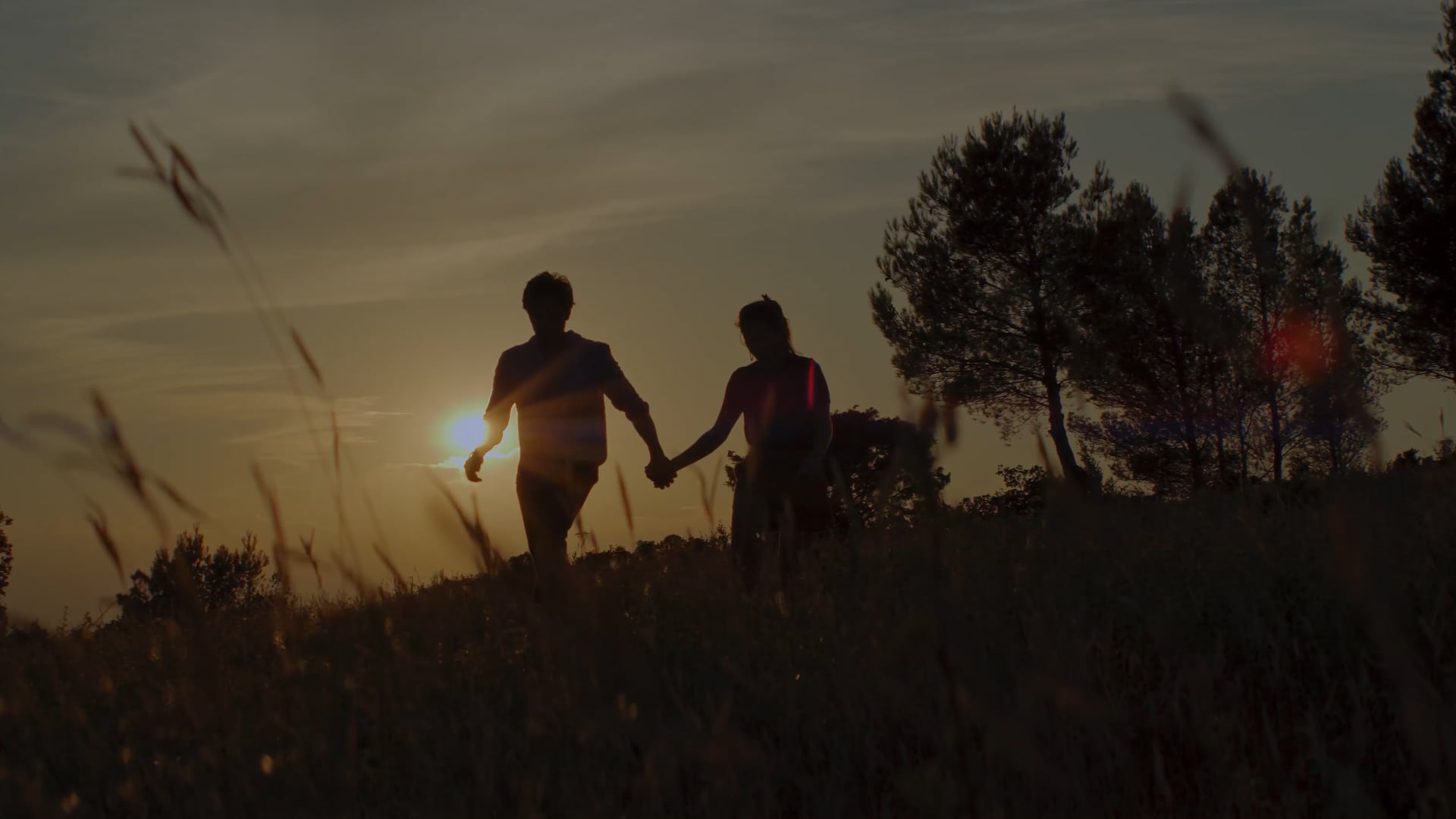 BAUMANIERE - Au coeur de la Provence