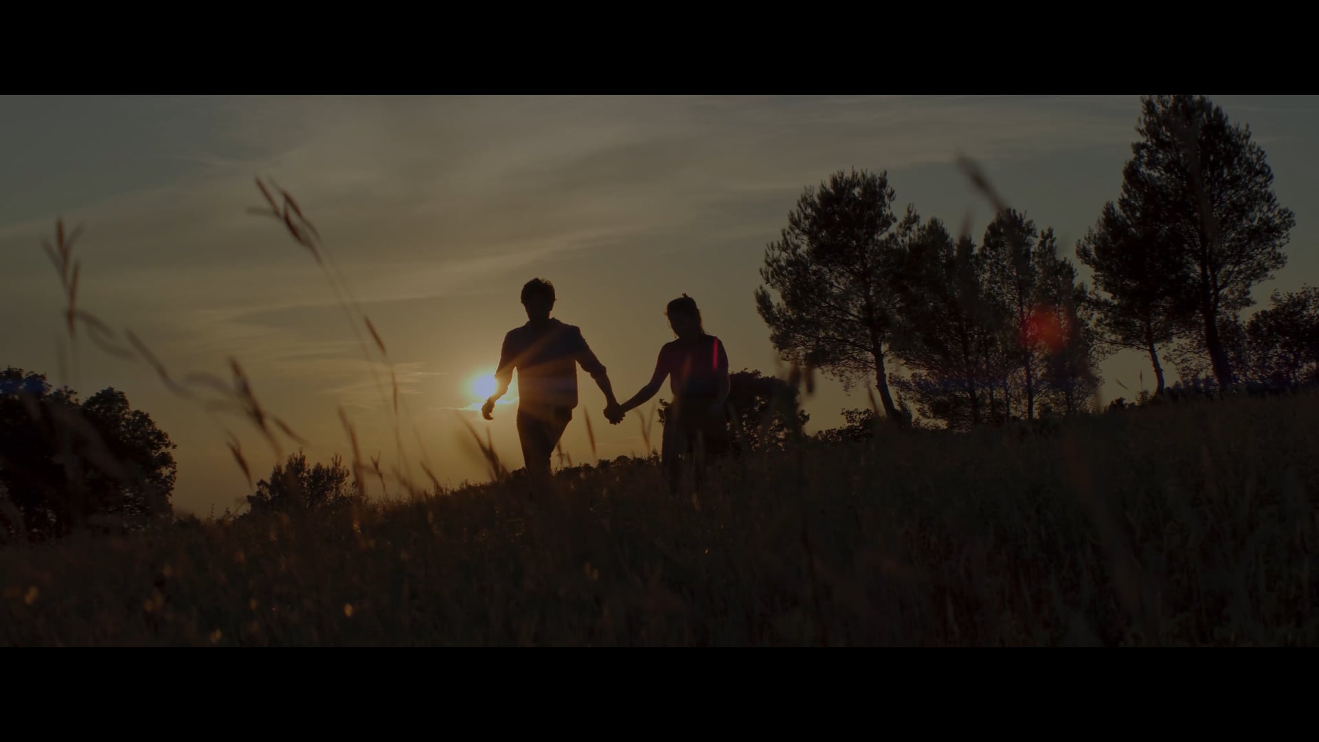 BAUMANIERE - Au coeur de la Provence