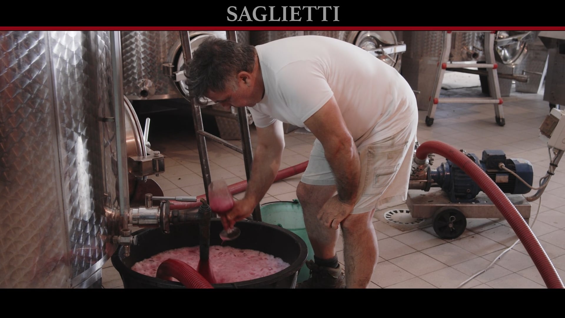 Vinificazione uve 2022 Grape vinification