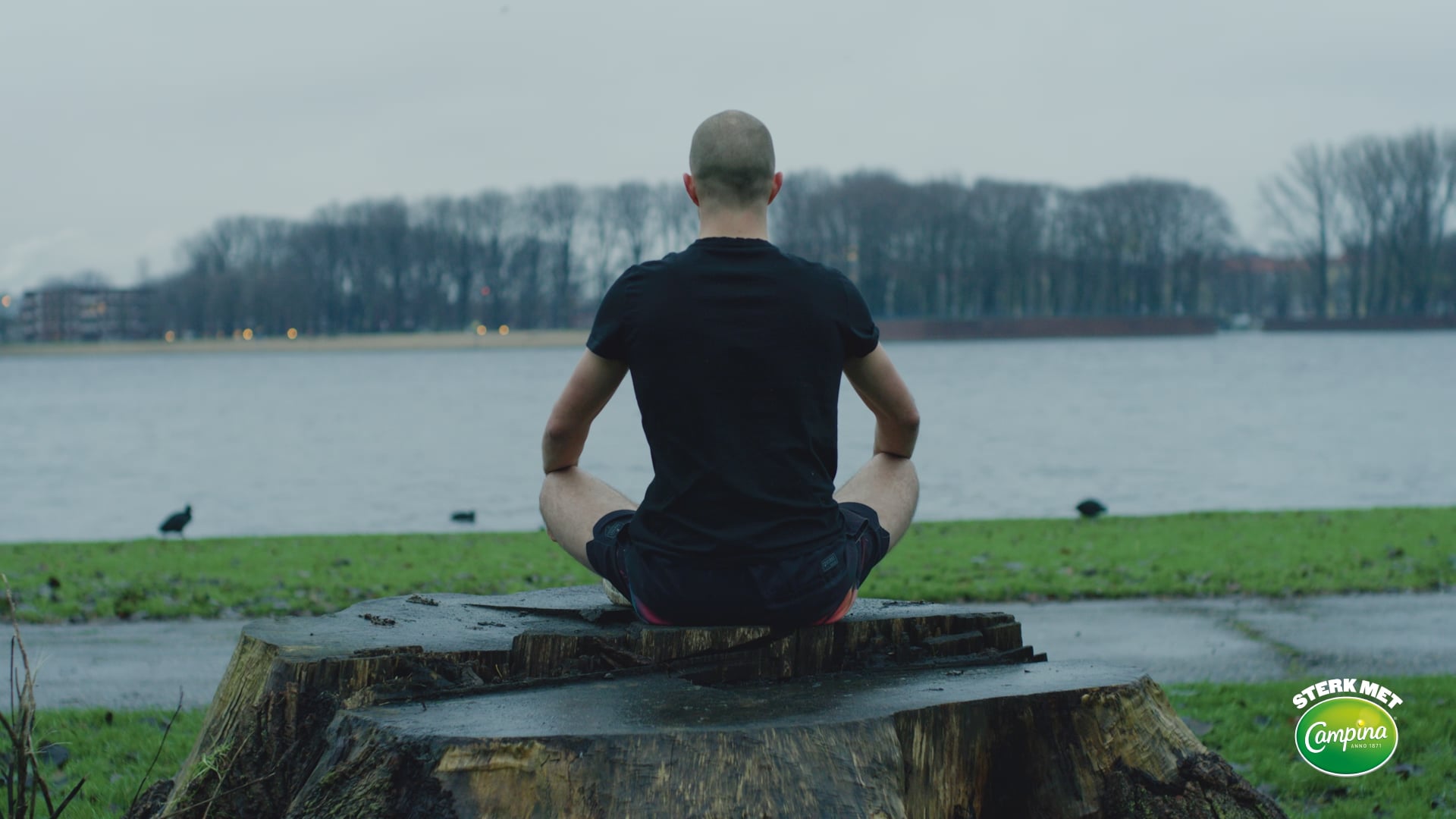 Campina: Erwin - Commercial