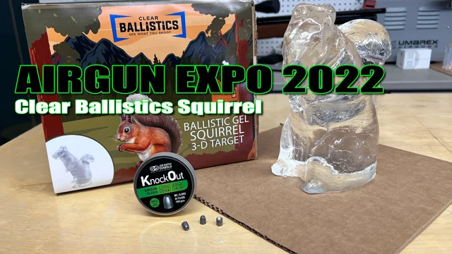  Ballistics Target Practice Gelatin Block - 5 lbs - Reusable.  Stable up to 95F Will Not Freeze : Sports & Outdoors
