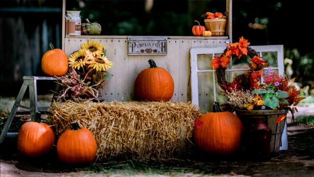 Leaves, Pumpkin, Hay. Free Stock Video - Pixabay