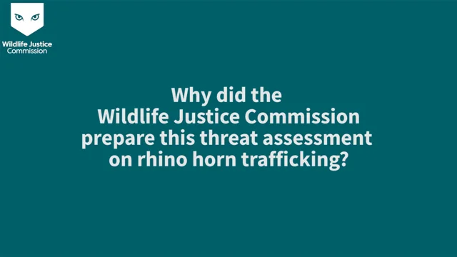 FAQ Foire Aux Questions de Rhino Horn
