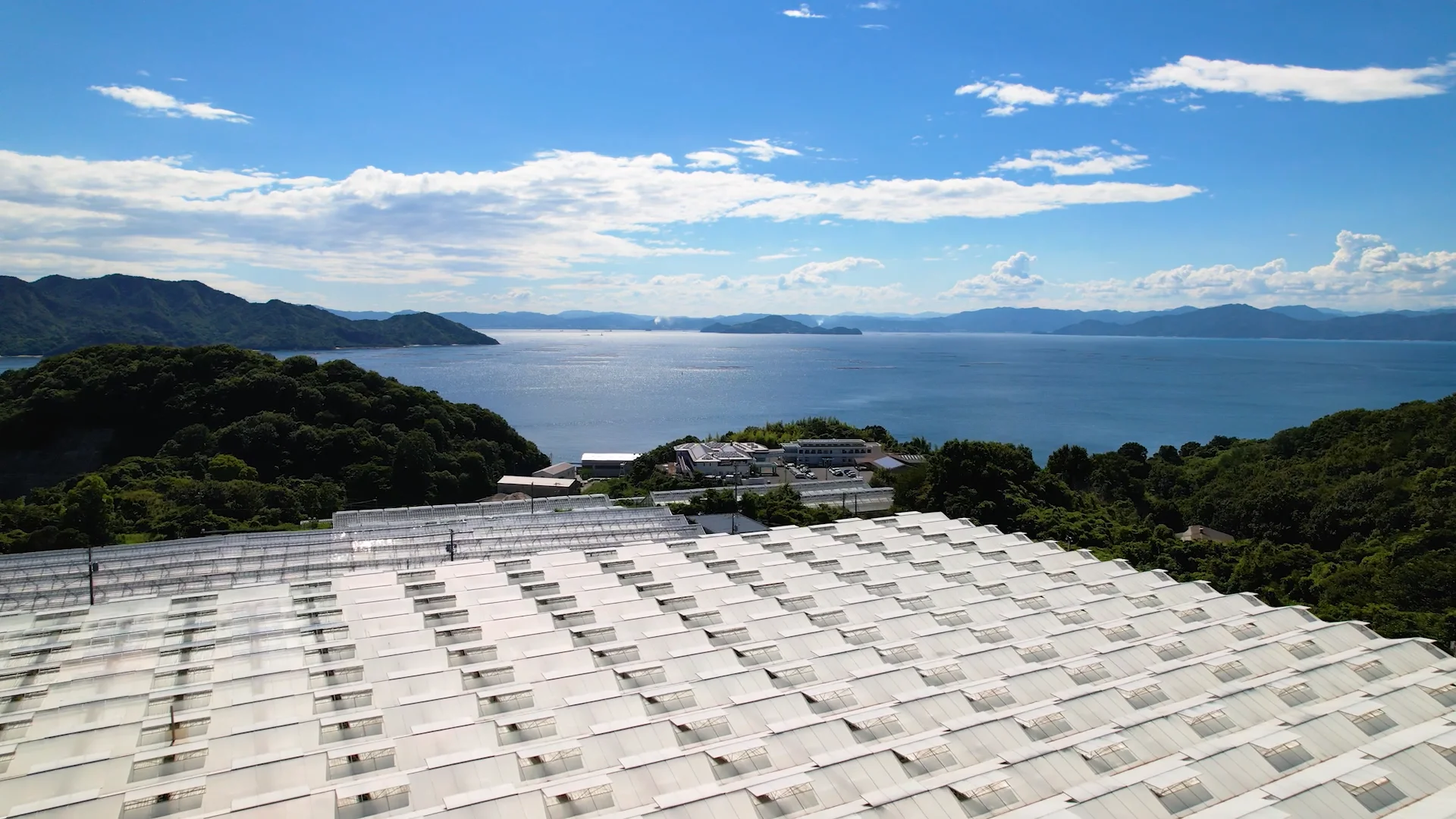 グリーンファーム沖美公式HP | 味と栄養がぎゅっと詰まった江田島産