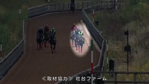 動画サムネイル