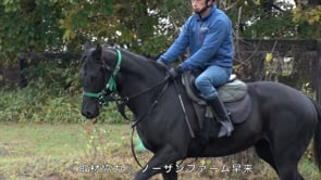 動画サムネイル