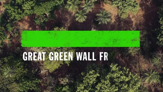 Frontline green cheap