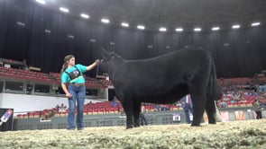 2022 Simmental Junior National