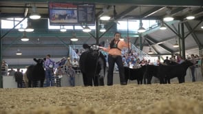 2022 Illinois State Fair