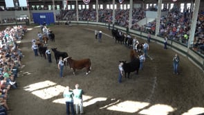 2022 Iowa State Fair