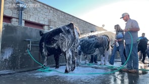 2022 Colorado State Fair