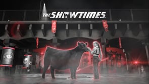 2022 American Royal Breeding Cattle Shows